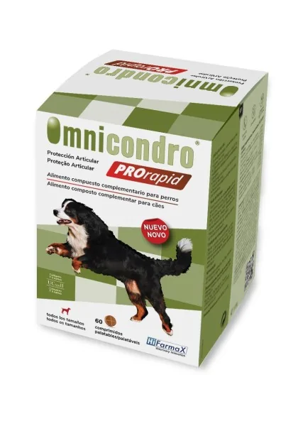 Omnicondro Prorapid Perros 60Cpd