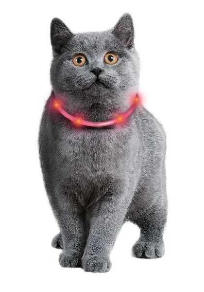 Collares Karlie Flamingo Collar Visio Light Led Gato Negro 35Cm