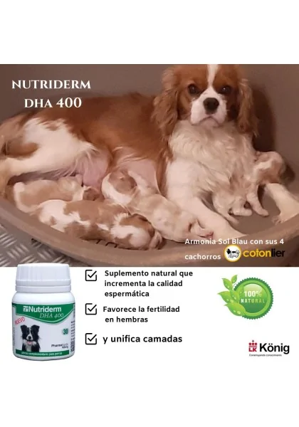 Juguete Nutriderm Dha 400Mg 30Cap (Ndr)