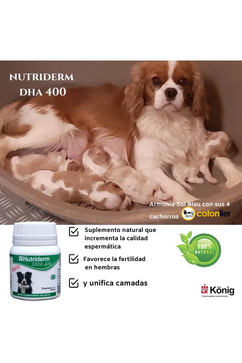 Juguete Nutriderm Dha 400Mg 30Cap (Ndr)