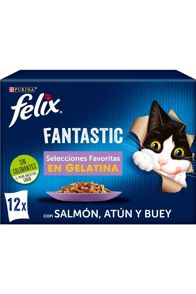 Dieta Natural Felix Fantastic Selecciones Favoritas 12X85Gr