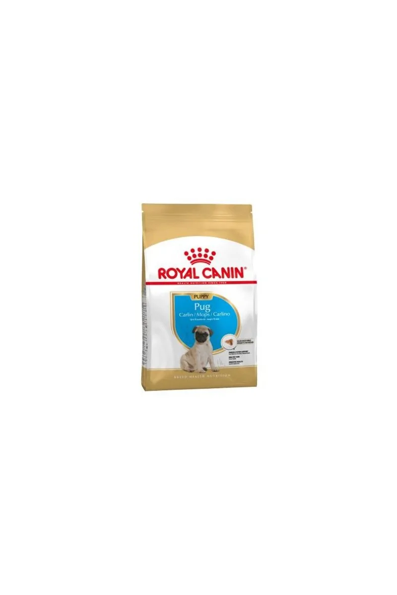 Comida Premium Pienso Perro Royal Canine Junior Carlino 1,5Kg