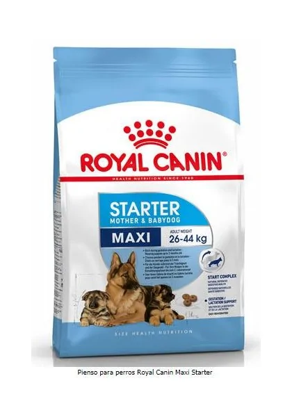 Comida Premium Pienso Perro Royal Canine Starter Maxi 15Kg