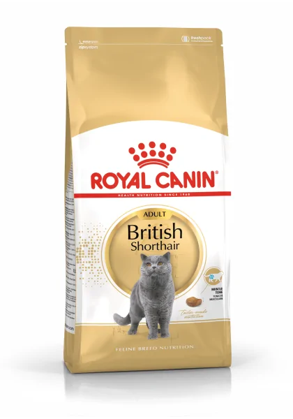 Pienso Premium Gato Royal Feline Adult British Shorthair  2Kg