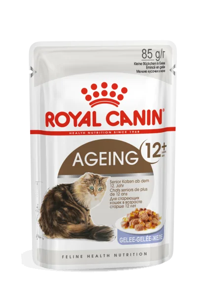 Pienso Premium Gato Royal Feline Ageing +12 Pouch Gelatina Caja 12X85Gr