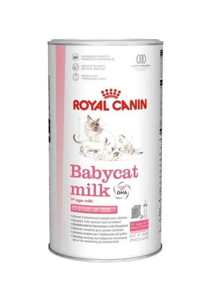 Pienso Premium Gato Royal Feline Babycat Milk 1St Age 300Gr (Ndr)