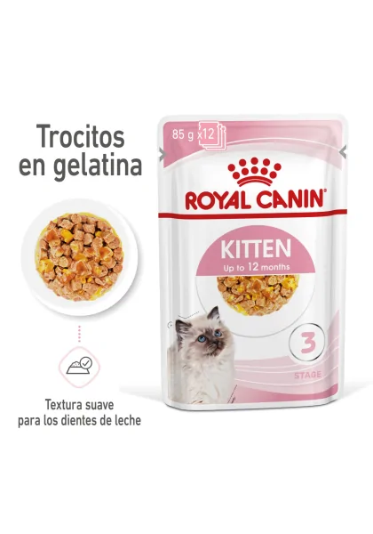 Pienso Premium Gato Royal Feline Kitten Gelatina 12X85Gr