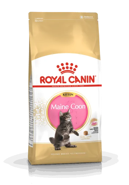 Pienso Premium Gato Royal Feline Kitten Maine Coon 4Kg