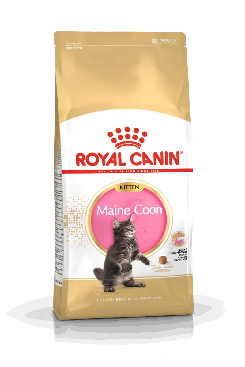 Pienso Premium Gato Royal Feline Kitten Maine Coon 4Kg