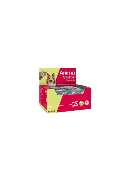 Suplementos Anima Strath Magnesio  Blister  360 Comprimidos