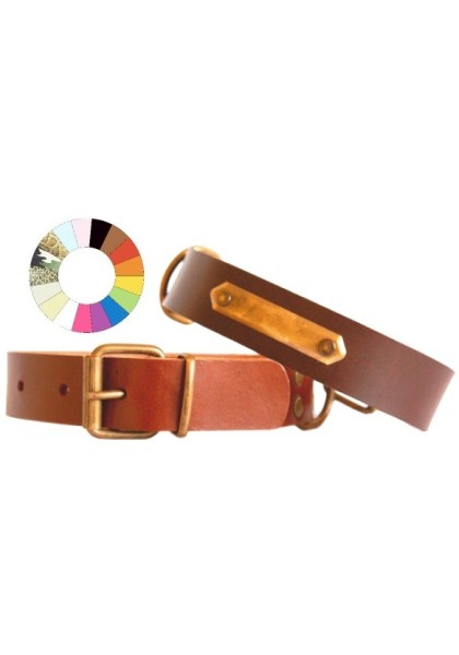 Collares Perro  Collar Leather Class VER 35-41 L450 A25