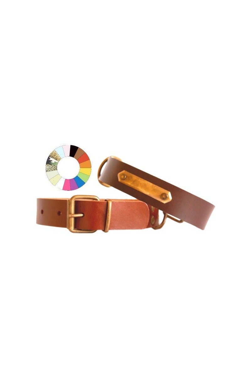 Collares Perro  Collar Leather Class VER 35-41 L450 A25