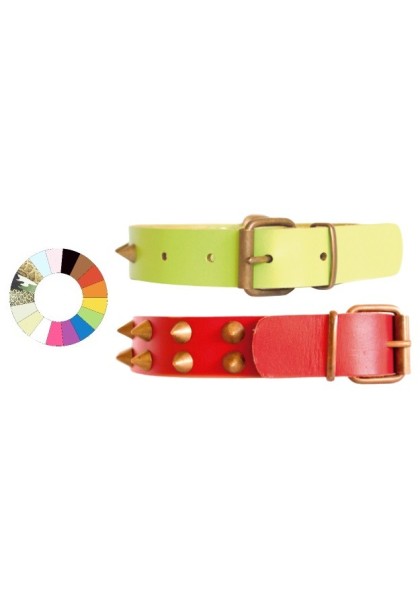 Collares Perro  Collar Leather Class Co1F NG 35-41 L450 A25