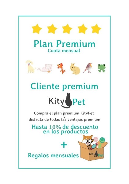 Plan Premium Mensual