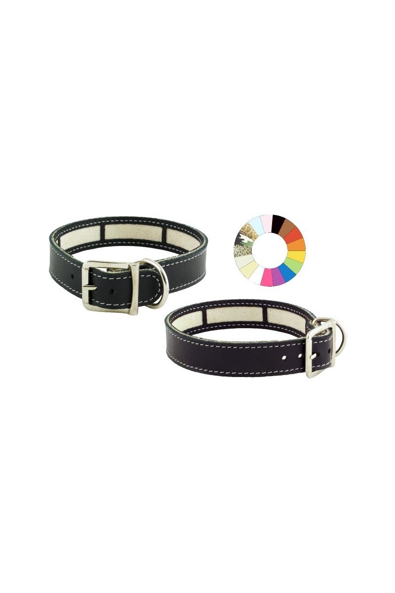 Collares Perro  Collar Little Carrier NG 19/22 L250 A22