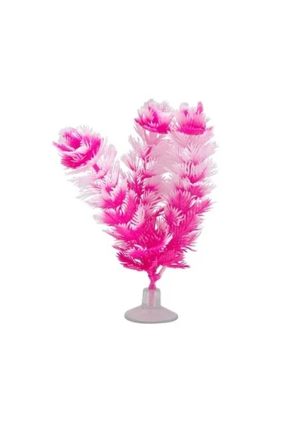 Acuario Bettas Marina Foxtail Con Ventosa 12,5Cm 18x9x3,5