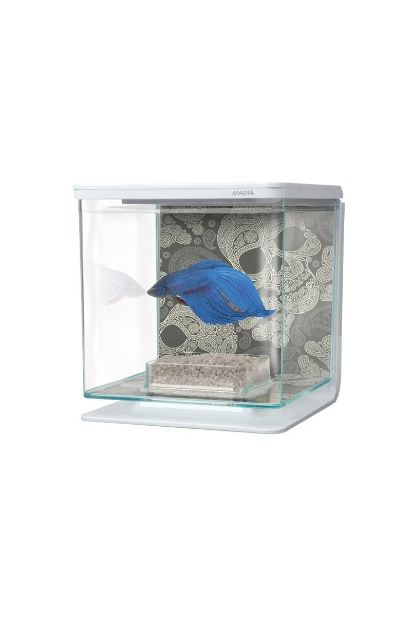 Acuario Bettas Marina Betta Kit Cráneos 16x15,2x14,6