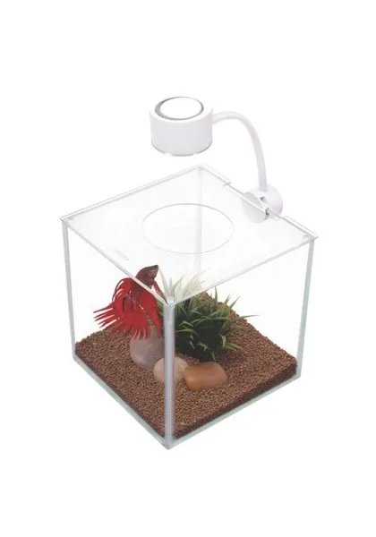 Acuario Bettas Marina Betta Cubus Kit Bettera 3,4L 17,53x17,78x18,8