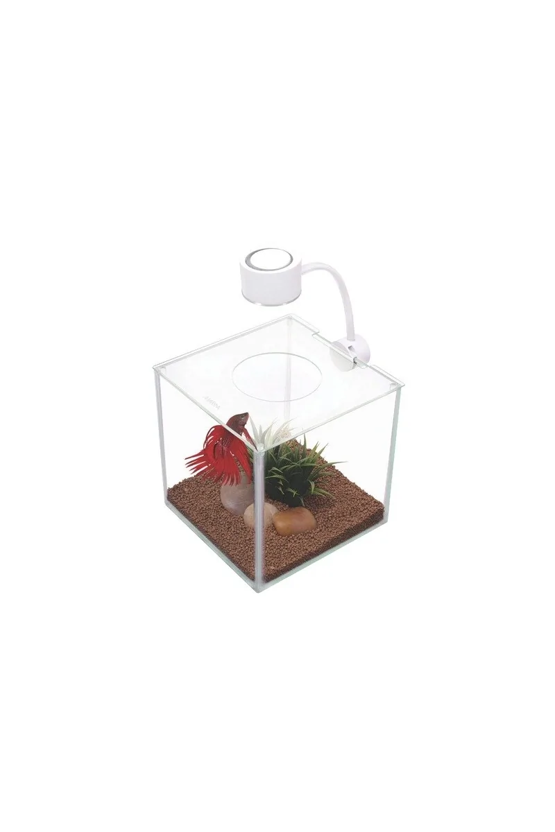 Acuario Bettas Marina Betta Cubus Kit Bettera 3,4L 17,53x17,78x18,8