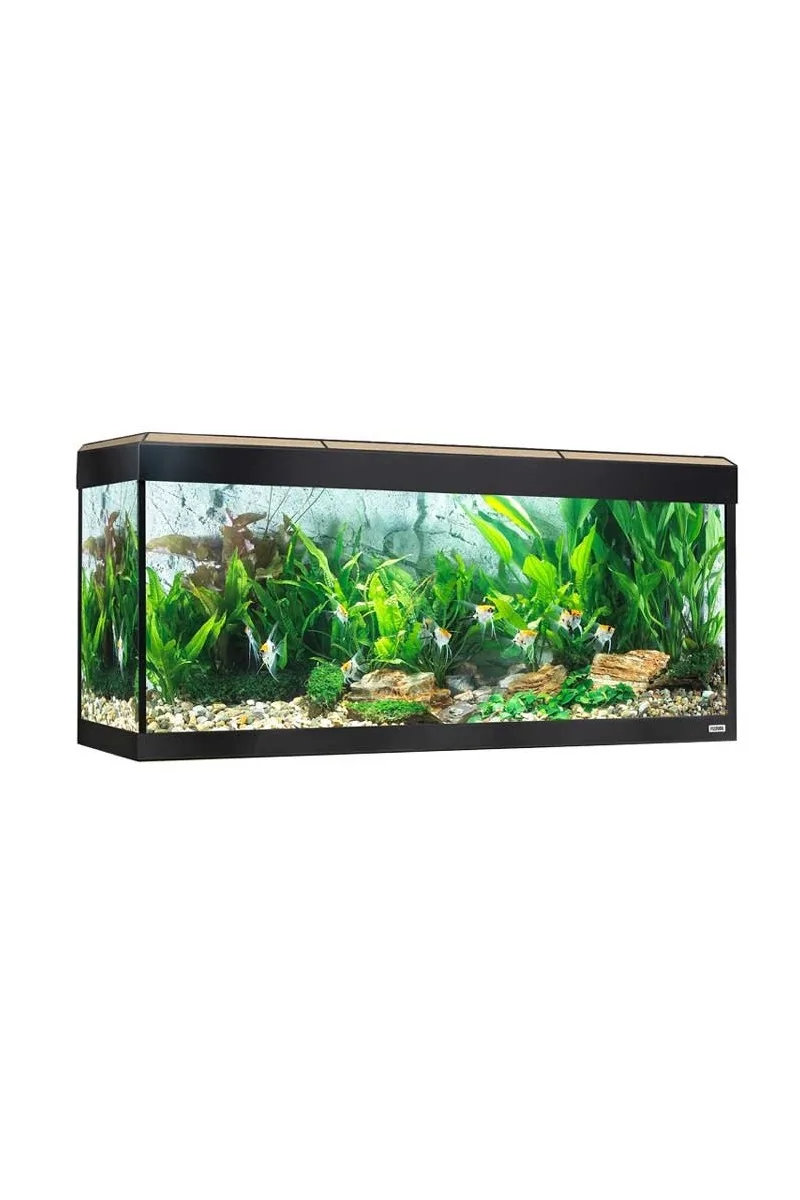 Acuario Fluval Roma Acuario Led Bluetooth 240L Roble 125,5x44x58,5