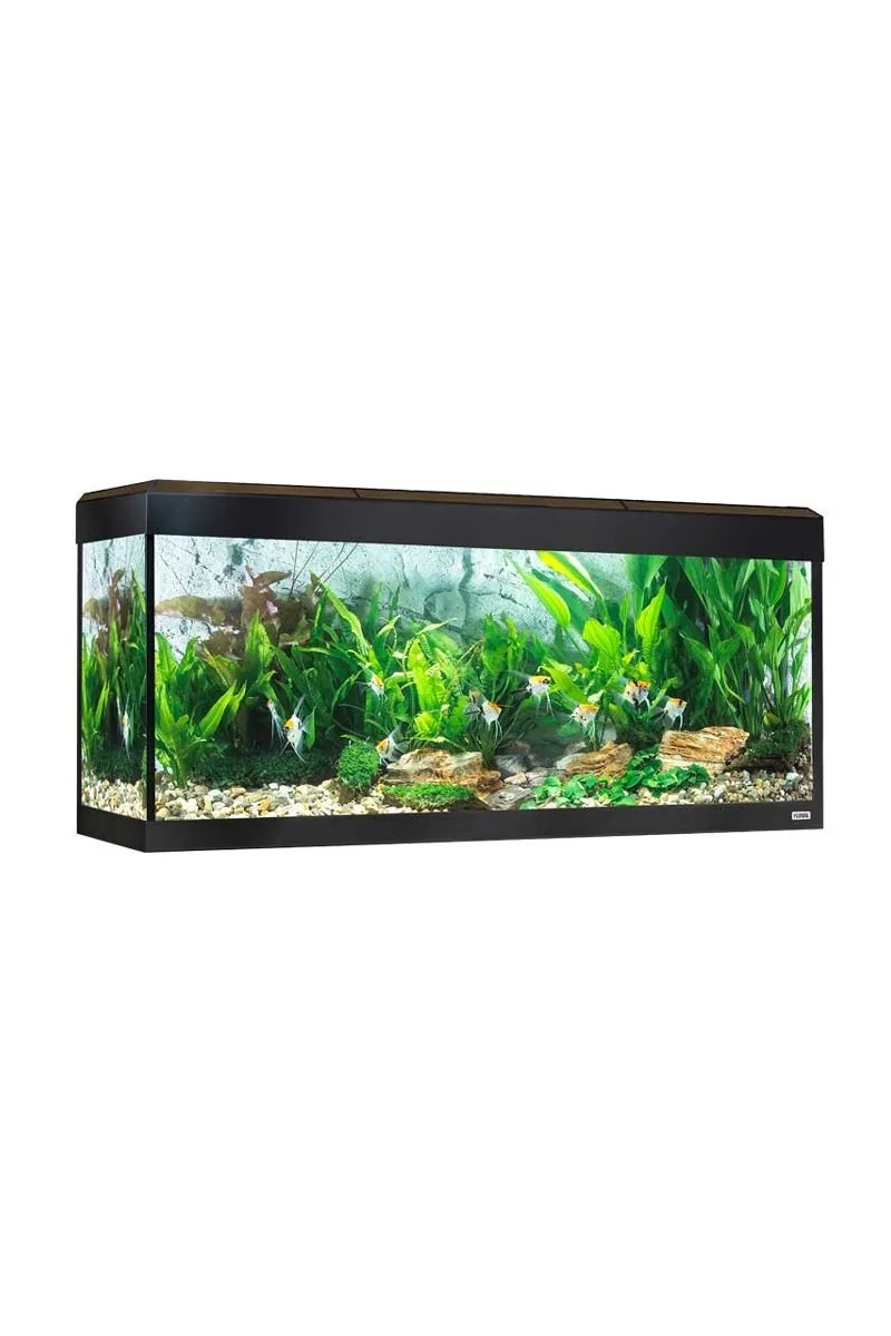 Acuario Fluval Roma Acuario Led Bluetooth 240L Nogal 125,5x44x58,5