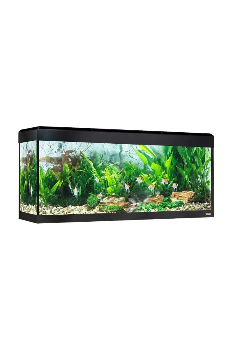 Acuario Fluval Roma Acuario Led Bluetooth 240L Negro 125,5x44x58,5