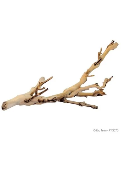 Decoración Acuario Exo Terra Forest Branch Peq. 30Cm