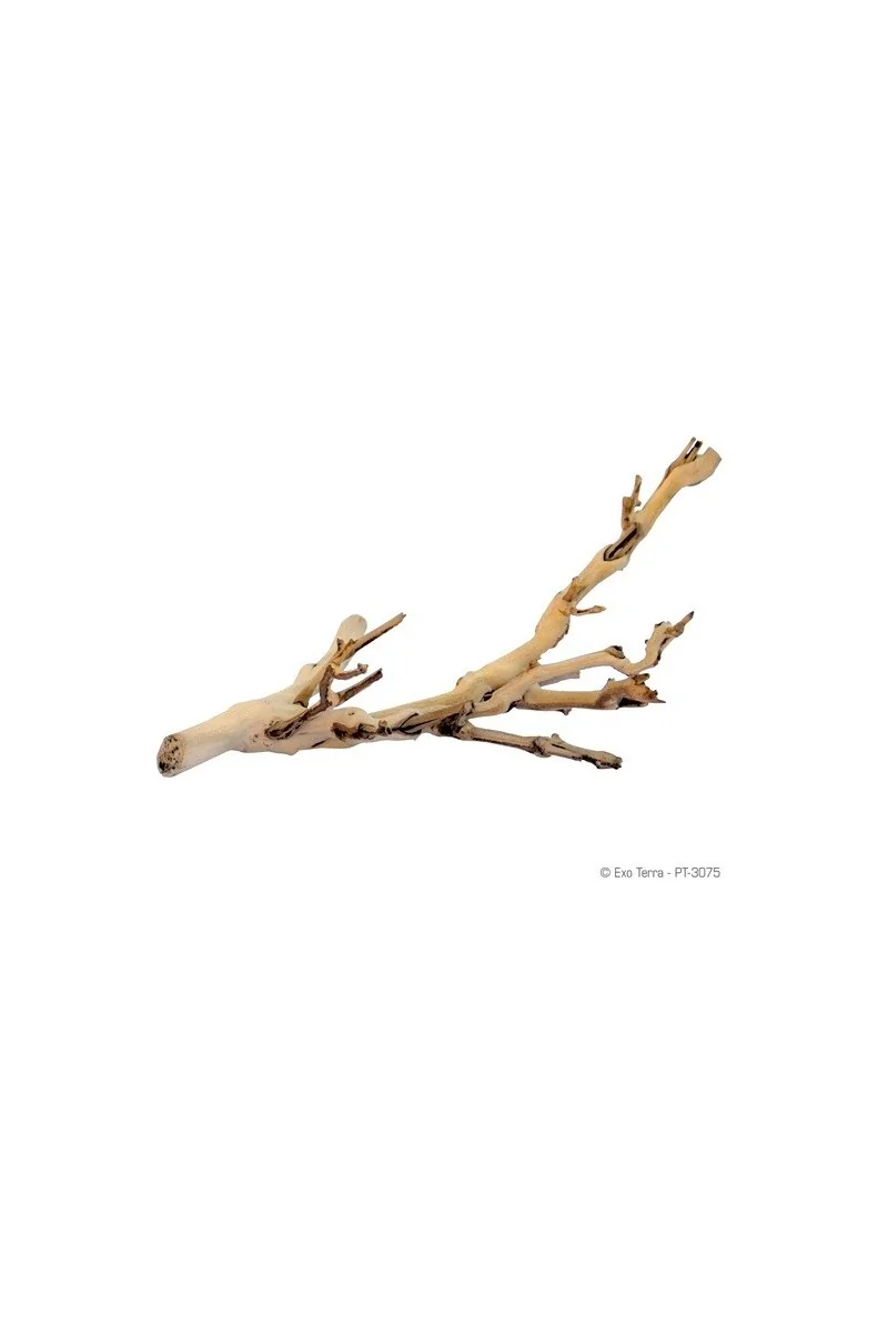 Decoración Acuario Exo Terra Forest Branch Peq. 30Cm