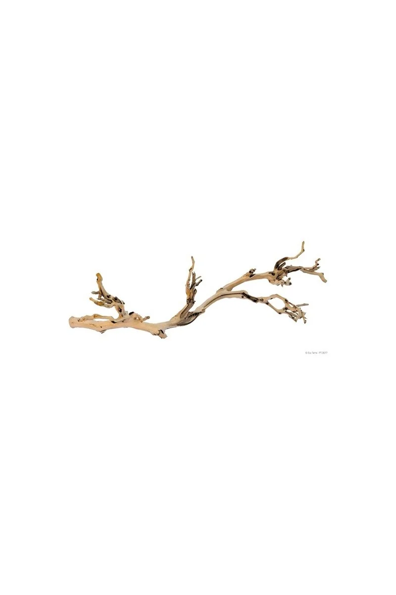 Decoración Acuario Exo Terra Forest Branch Gde. 60 Cm