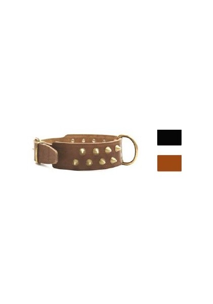 Collares Perro  Collar Leather Bull Co2F NG 30-39 L450 A40