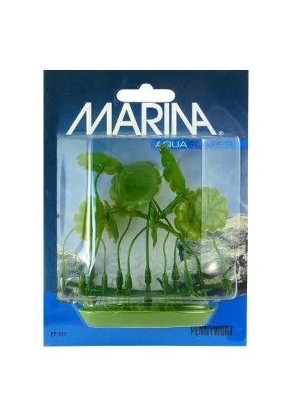 Decoración Acuario Marina Aquascaper Foreg. Plants Pennywort 5 Cm