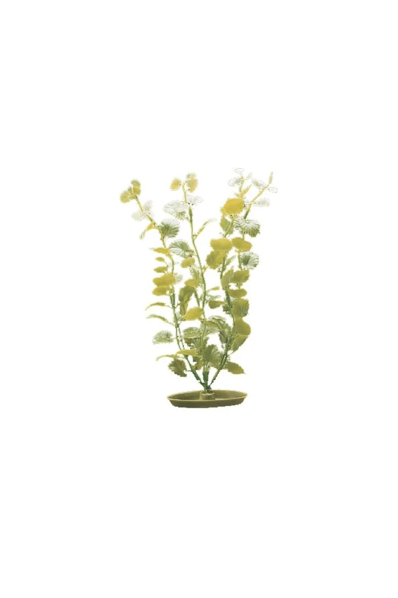 Decoración Acuario Marina Aquascaper Med. Moneywort 20 Cm