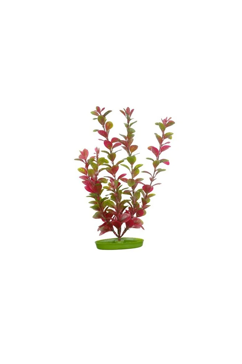 Decoración Acuario Marina Aquascaper Med. Ludwigia Roja 20 Cm