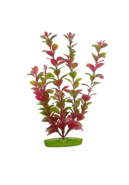 Decoración Acuario Marina Aquascaper Gde. Ludwigia Roja 30 Cm