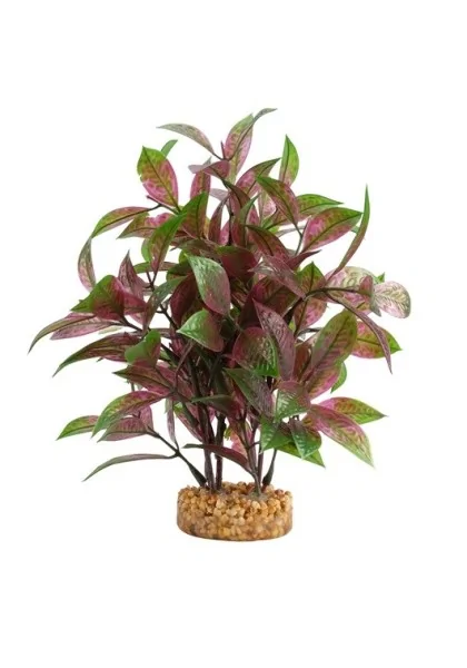 Decoración Acuario Fluval Plant Ludwigia Roja 20Cm