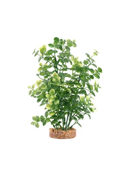 Decoración Acuario Fluval Plant Bacopa Verde 20Cm