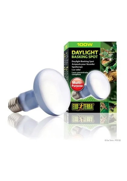 Iluminación Reptiles Exo Terra Daylight Basking Spot 100W