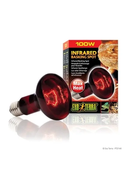 Iluminación Reptiles Exo Terra Infrared Basking Spot 100W