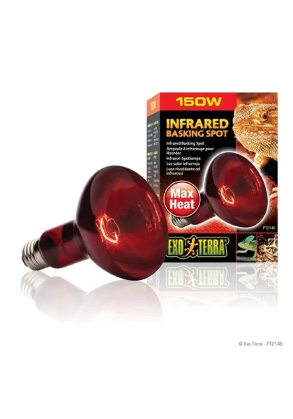 Iluminación Reptiles Exo Terra Infrared Basking Spot 150W