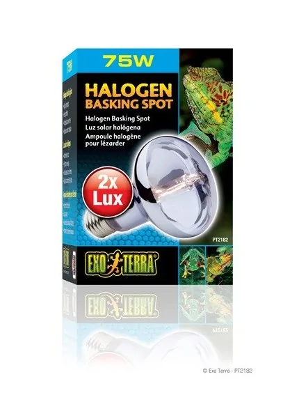 Iluminación Reptiles Exo Terra Halogen Basking Spot 75W