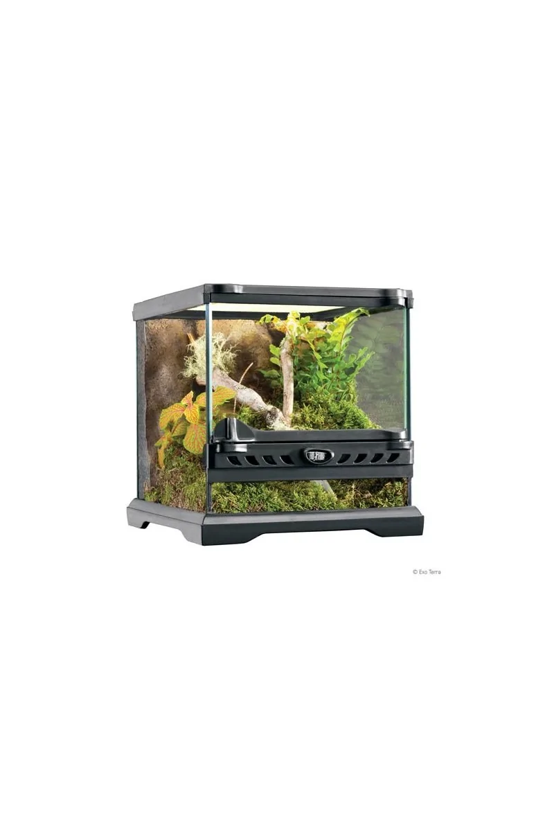 Terrarios Reptiles Exo Terra Terrario Nano/Wide 10,5L 22X22X22Cm