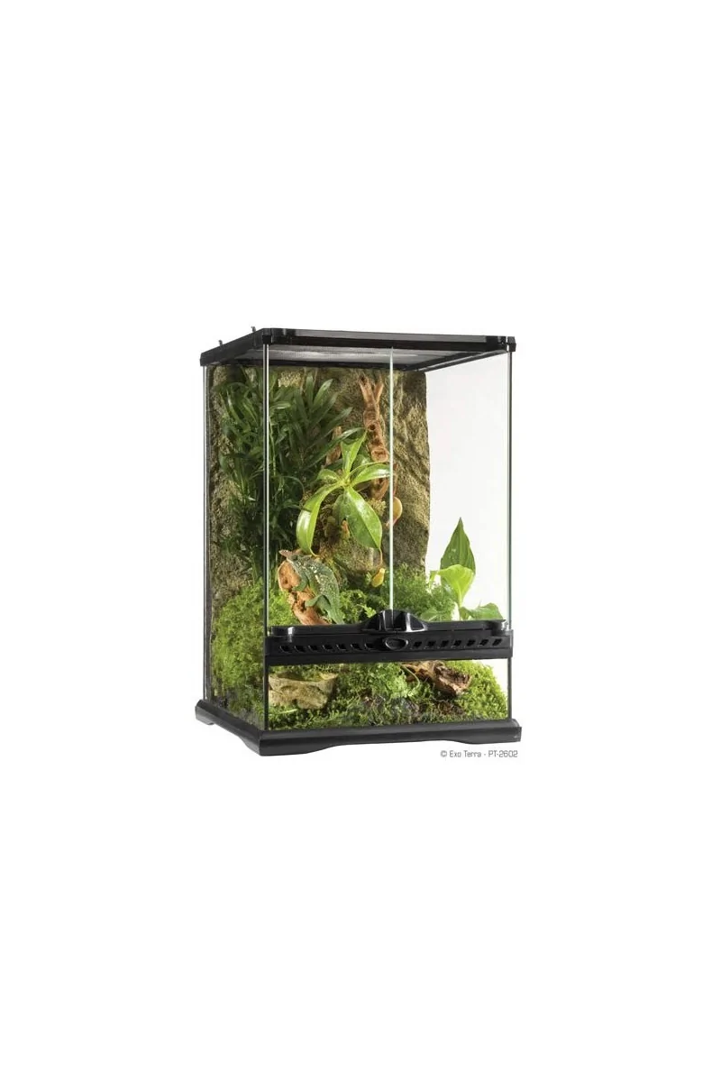 Terrarios Reptiles Exo Terra Terrario Mini/Tall 40,5L 30X30X45Cm