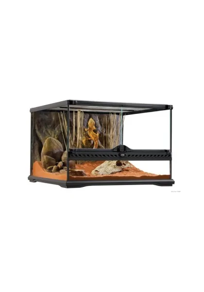 Terrarios Reptiles Exo Terra Kit Terrario Geckocrestado S 30X30X45Cm