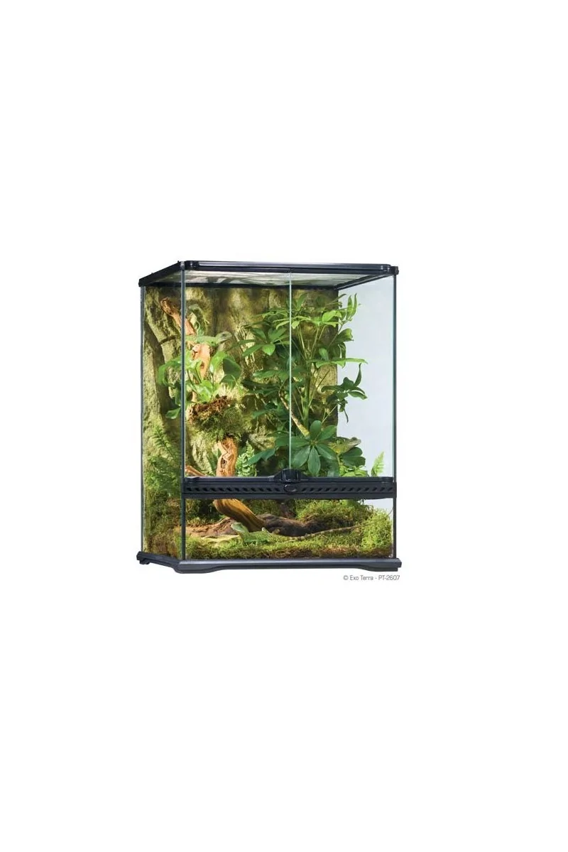 Terrarios Reptiles Exo Terra Terrario S/Tall 120L 45X45X60Cm