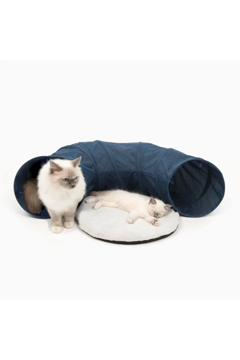 Juguetes Gatos Catit Vesper Túnel Con Cama Azul 68X97X28Cm