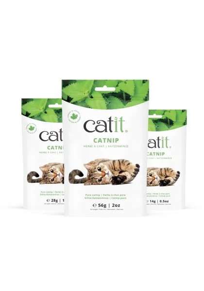 Rascadores Gatos Catit Catnip Bolsa 56G