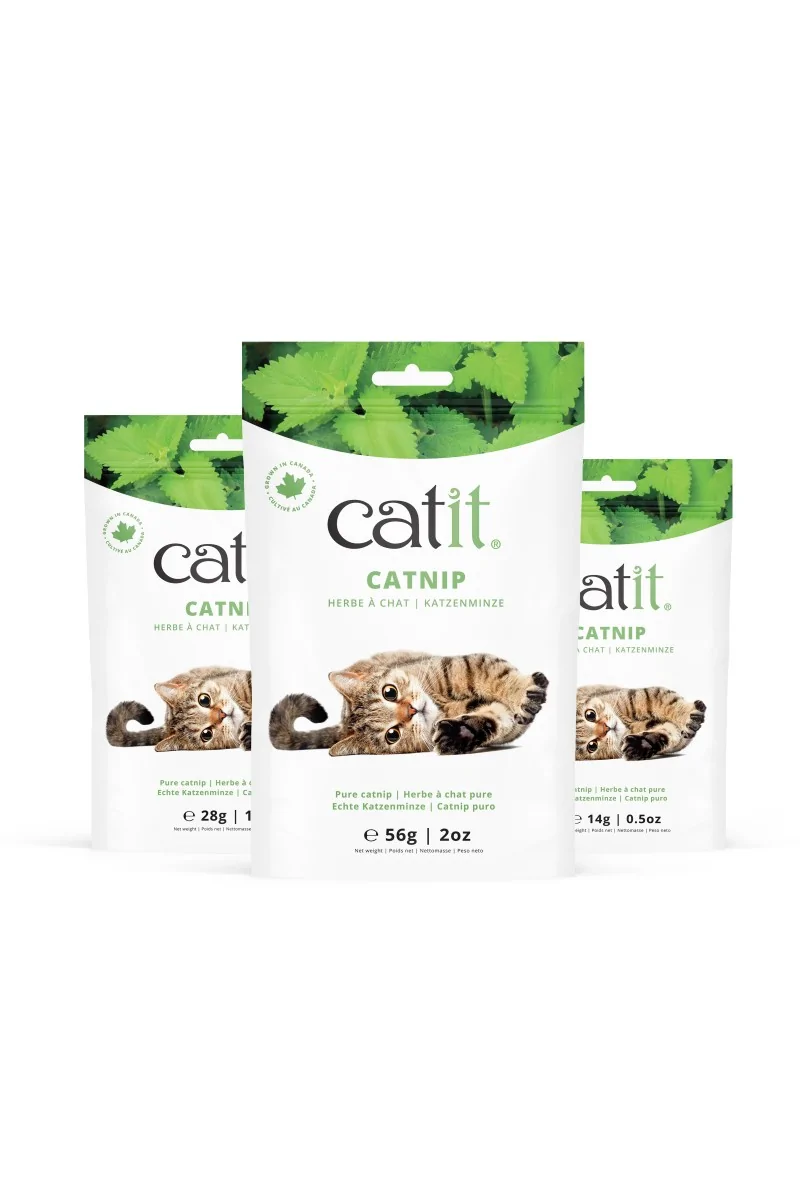 Rascadores Gatos Catit Catnip Bolsa 56G