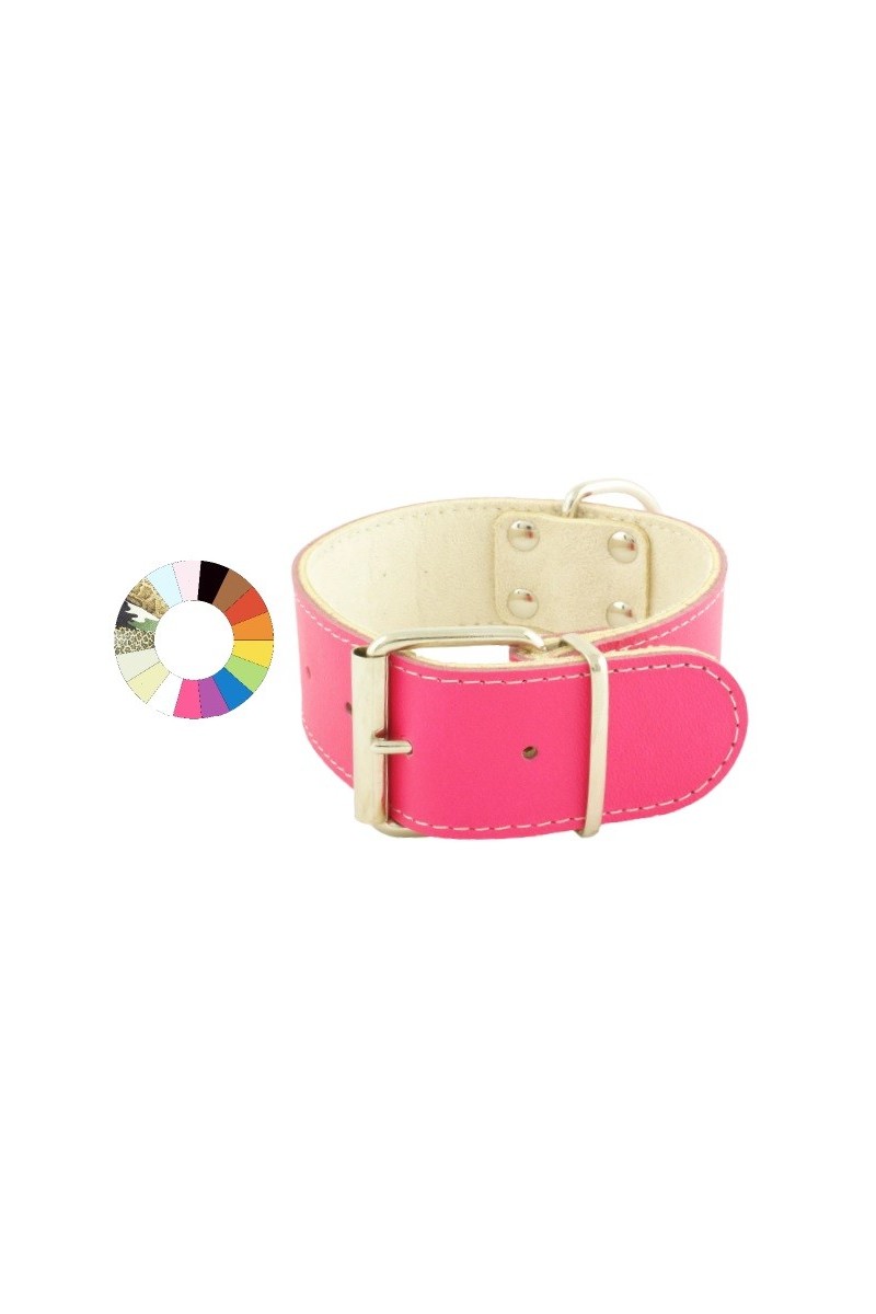 Collares Perro  Collar Big Mountain NG 25-35 L400 A40