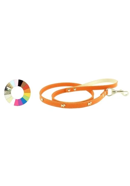 Collares Perro  Correa Estrecha Westy ORO L1100 A14