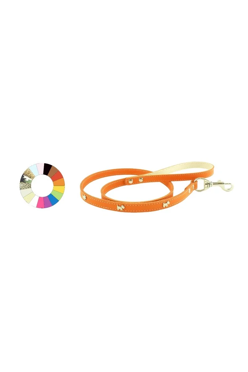 Collares Perro  Correa Estrecha Westy ORO L1100 A14